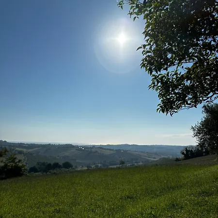 Casa Felice 公寓式酒店 西尼加利亚